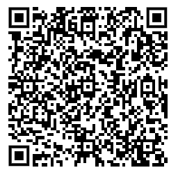 Củ dền - Ảnh 2