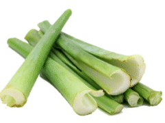 Bạc hà (dọc mùn)