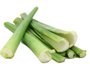 Bạc hà (dọc mùn)