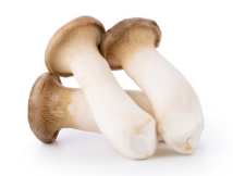 Nấm đùi gà