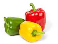 Ớt chuông Đà Lạt