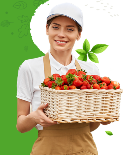 Người nông dân cầm giỏ dâu