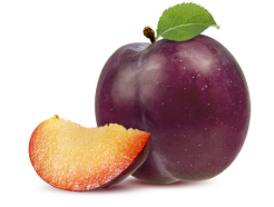 Mận Plum Mỹ
