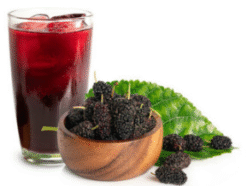 Combo nước ép dâu tằm + việt quất